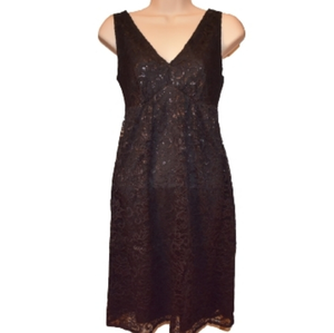 The Limited Metallic Lace Sleeveless V-Neck Dress Black 0‎